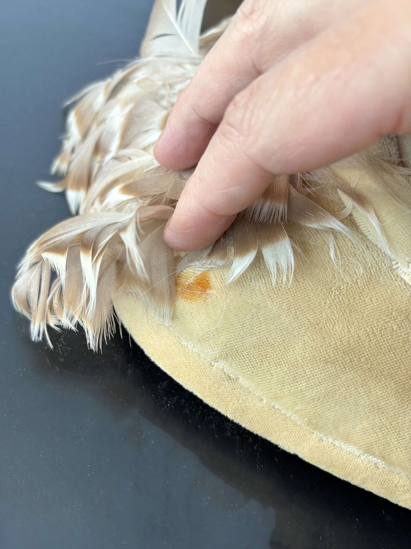 1940s/50s Beige Feather and Velvet Cocktail Hat Lily Scarlet