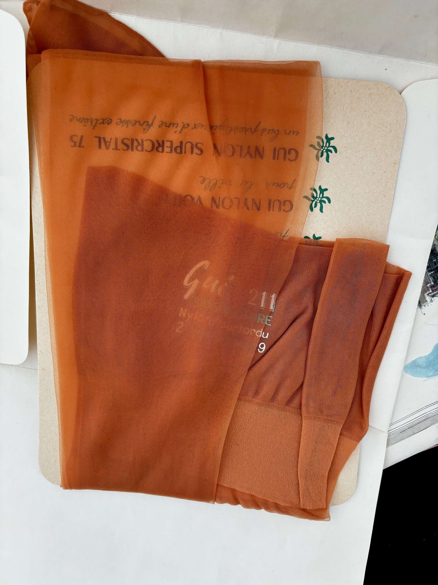 2 Pairs Deadstock Gui Paris Nylon Stockings In Original Illustrated Box France 1950s Lily Scarlet