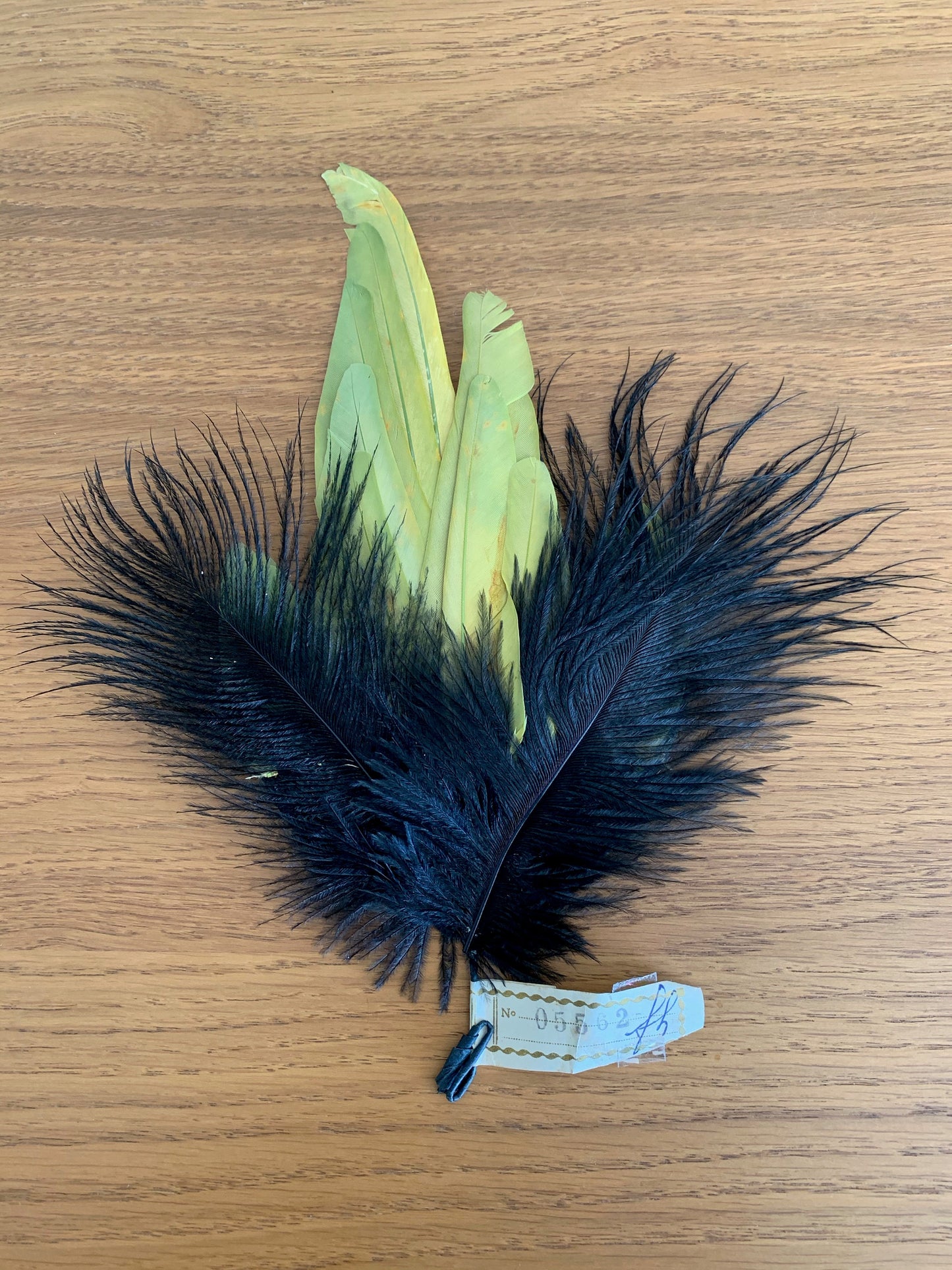 Antique Large Millinery Feather Piece