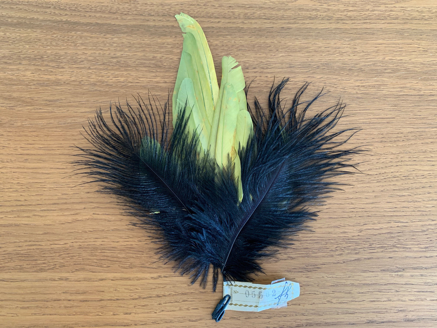Antique Large Millinery Feather Piece