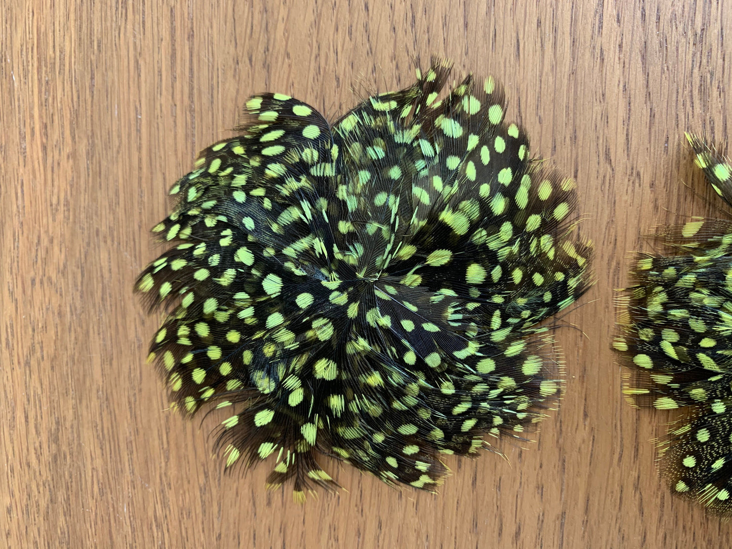 Vintage Millinery Feather Pieces