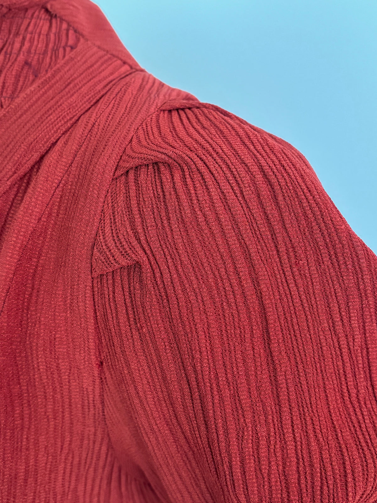 M | 1930s Brick Red Crinkle Crepe Dress With Puffed Sleeves