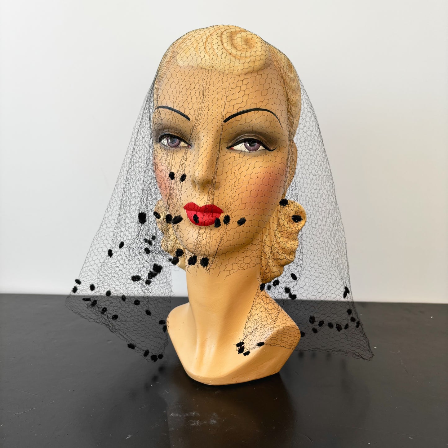 Vintage Velvet Dotted Birdcage Veil