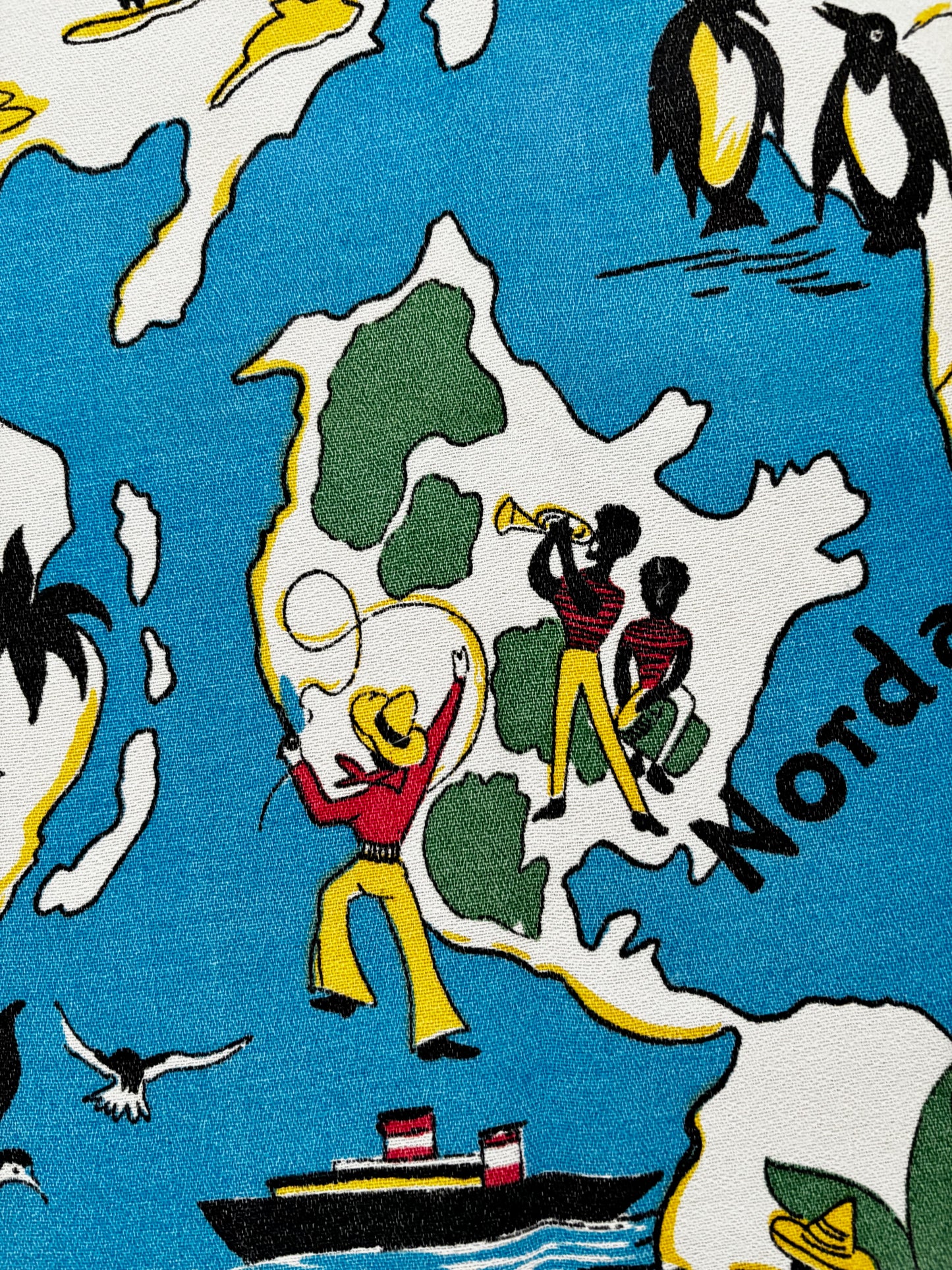 Vintage 1950s 1960s World Map Novelty Print Fabric 75x135 cm / 29.5x53"