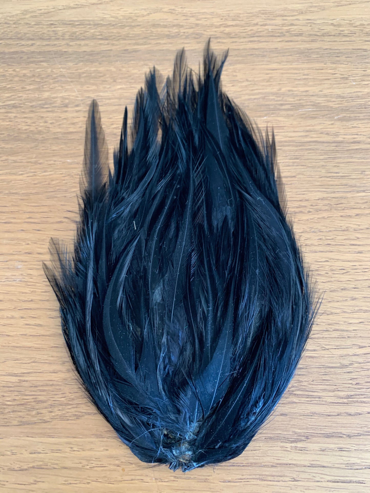 Antique Millinery Black Feather Piece